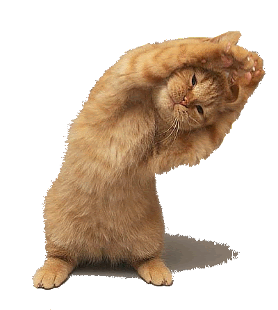 discutons_chatondeouf