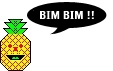 pin-bimbim